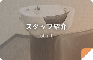 スタッフ紹介 staff